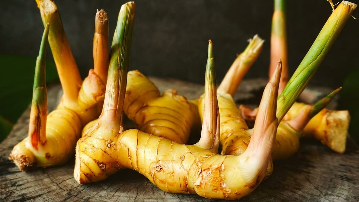 Galangal, Lemongrass, and Kaffir Lime