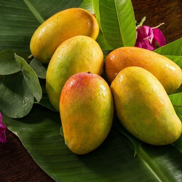 Five ripe mangoes with green leaves and purple flowers on a dark wooden surface.